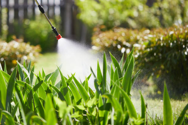 24/7 Emergency Cockroach Control experts in Sutherlin, OR