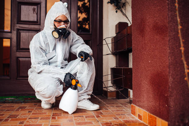 Reliable Cockroach Control contractor in Sutherlin, OR by Nex Pest Control